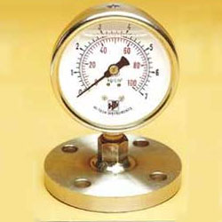 Direct Flanged Diaphragm Gauge